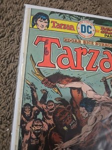 Tarzan #249 (DC Comics May 1976)
