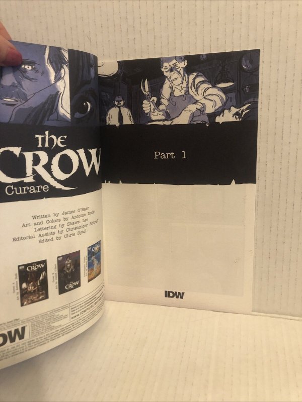 The Crow Curare #1 Variant Cover