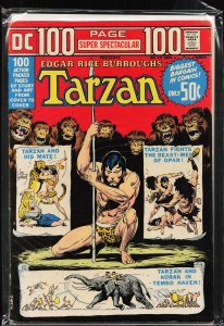 DC 100-Page Super Spectacular #19 (1973)