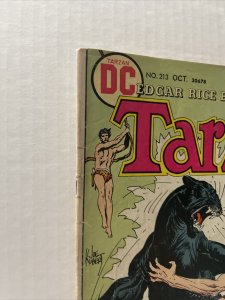 Tarzan #213 1972 DC