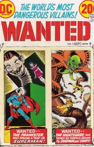 Wanted, the World's Most Dangerous Villains #9 FN ; DC
