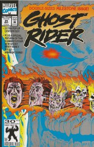 Ghost Rider #25 (1992) - NM