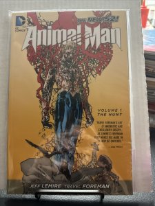 Animal Man #1 (DC Comics, July 2012)