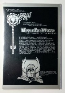 ThunderMace: The Telling of the Legend #1 Published by R.A.K. Graphics.