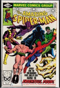 The Amazing Spider-Man #214 (1981) Spider-Man