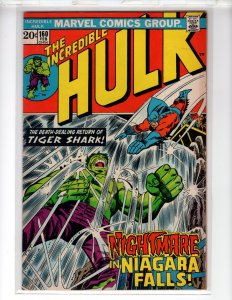 The Incredible Hulk #160 (1973) [NSC•CR300-BI#05]