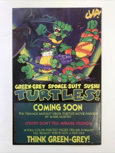 Teenage Mutant Ninja Turtles 29