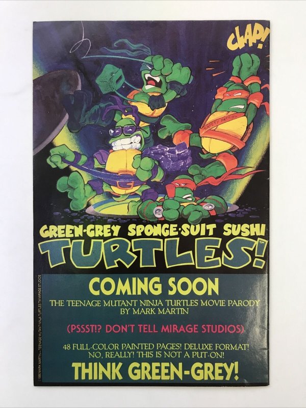 Teenage Mutant Ninja Turtles 29