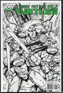 Teenage Mutant Ninja Turtles #2 (2011)