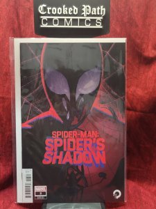 Spider-Man: The Spider's Shadow #3 Variant Cover (2021)