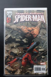 Marvel Knights Spider-Man #15 (2005)