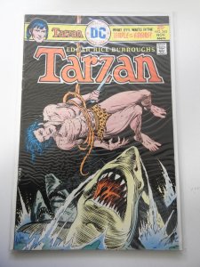 Edgar Rice Burroughs' Tarzan #243 (1975)