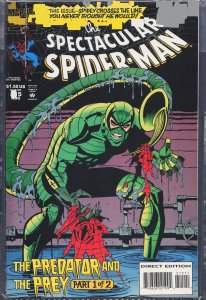 The Spectacular Spider-Man #215 (1994) Spider-Man