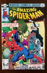 The Amazing Spider-Man #204 (1980); 2nd Appearance Black Cat