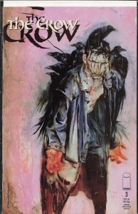 Crow #3 (1999)