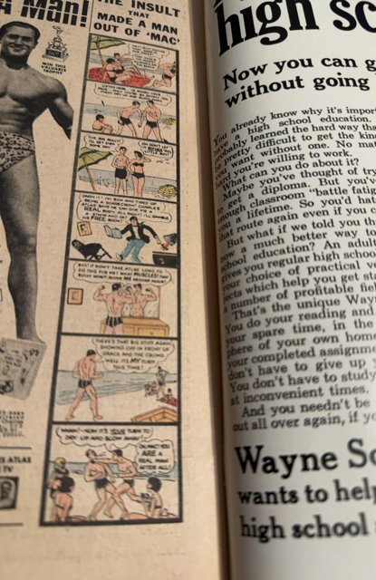 The Cat #3 (1973)kill the Kraken Higher grade