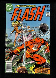 Flash #257