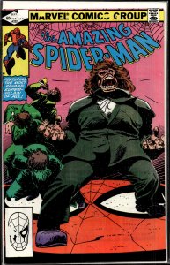 The Amazing Spider-Man #232 (1982) Spider-Man
