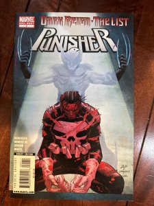 Dark Reign: The List - Punisher (2009)