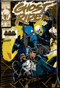 Ghost Rider #5 Second Print Cover (1990) Ghost Rider