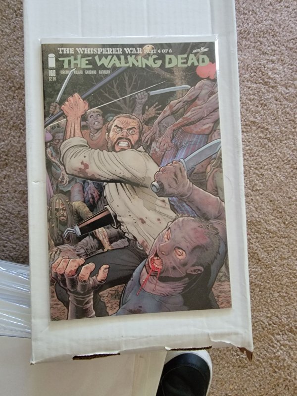 The Walking Dead #160 Variant Cover (2016)