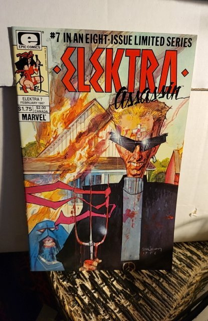 Elektra: Assassin #7  (1987)