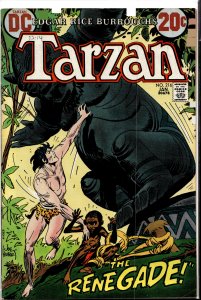 Edgar Rice Burroughs' Tarzan #216 (1973)