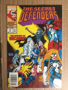 The Secret Defenders #3