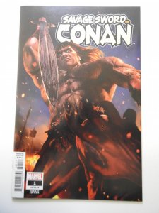Savage Sword of Conan #1 Variant Edition