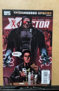 X-Factor #21 (2007)