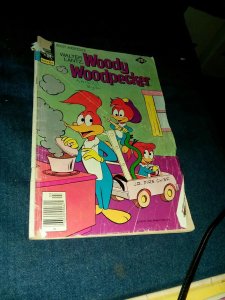 Woody Woodpecker 8 Issue Golden silver Bronze Age Comics Lot Run Set new funnies