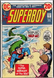 Superboy #194 (1973)