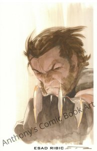 Wolverine Red-eyed with Claws Out Print of Painted Art - Signed by Esad Ribic