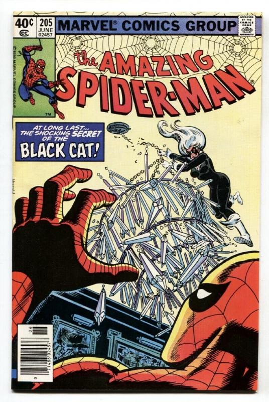 AMAZING SPIDER-MAN #205 comic book 1980-BLACK CAT-MARVEL NM-