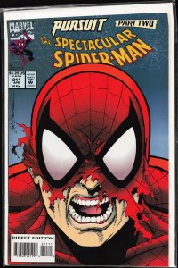 The Spectacular Spider-Man #211 (1994) Spider-Man
