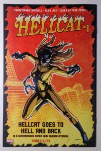 The Amazing Spider-Man #18 (9.4, 2023) Ed McGuinness Variant