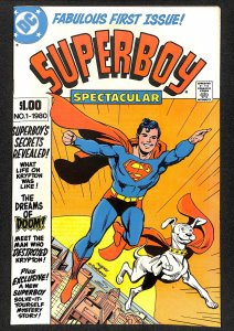 Superboy Spectacular #1 (1980)