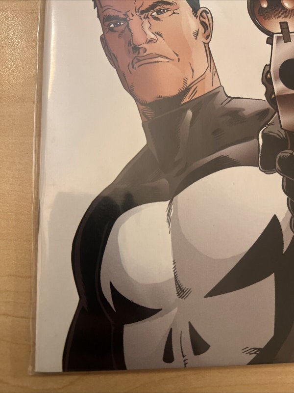 The Punisher #2 Marvel Comics Garth Ennis Steve Dillon Jimmy Palmiotti