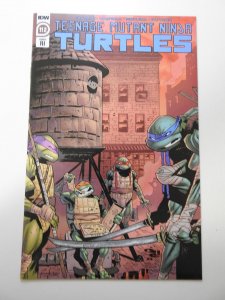 Teenage Mutant Ninja Turtles #112 RI Cover