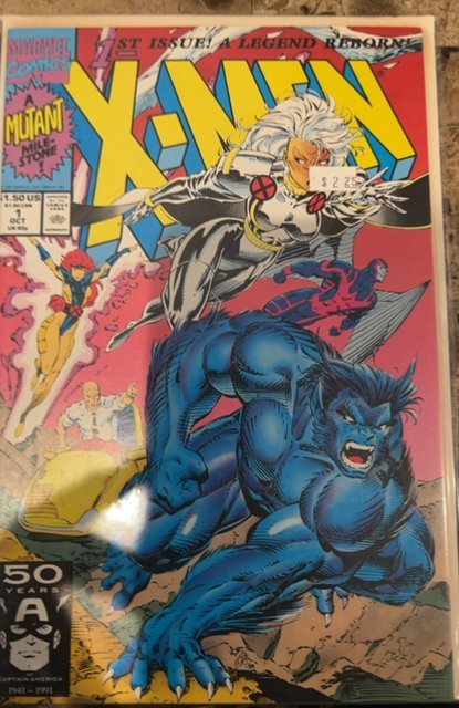 X-Men #1 Storm and Beast Cover (1991) X-Men 