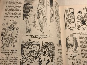 SEX TO SEXY #17 : SRI 1968 FN+; Adult Cartoons & Jokes; Bill Ward, Pierre Davis