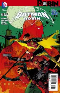 Robin Rises Part Four: Chaos