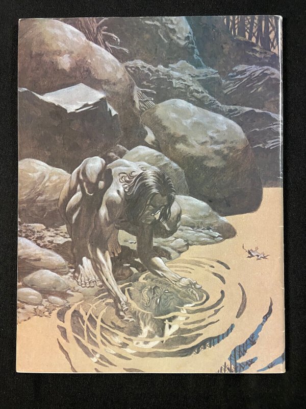 HEAVY METAL MAGAZINE SEPTEMBER 1980 WRIGHTSON BACK COVER  VF