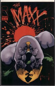 The Maxx: Maxximized #1 Variant Cover (2013)