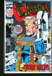 Cable #1 (1993)