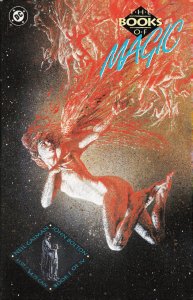 Books of Magic #1 (1990)