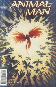 Animal Man #79 FN; DC | save on shipping - details inside