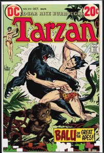 Edgar Rice Burroughs' Tarzan #213 (1972)