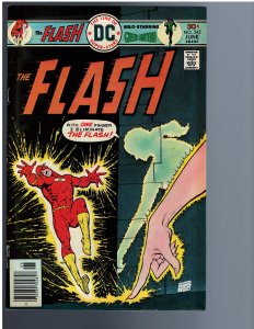 The Flash #242 (1976)