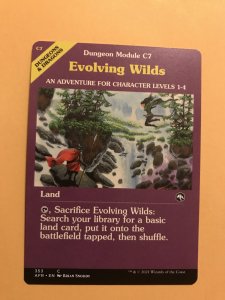 EVOLVING WILDS : Magic the Gathering MtG card / Adventures in Forgotten Realms